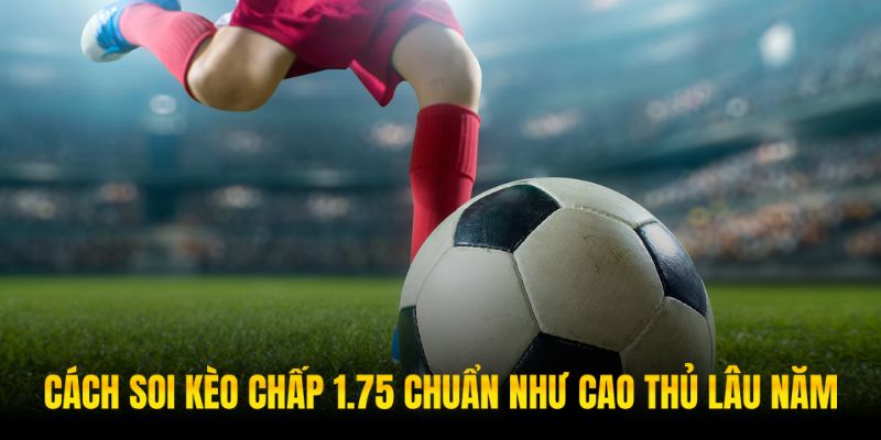 Cần có góc nhìn tổng quan để ra quyết định kèo chấp 1.75 mang tính chính xác